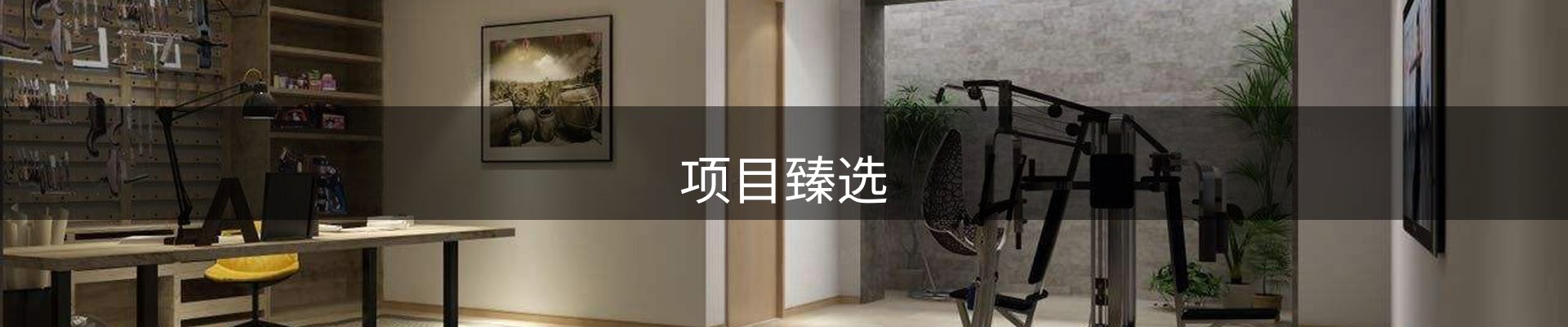 项目臻选
